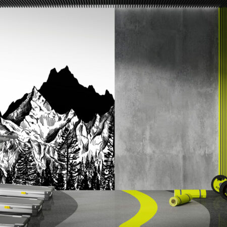 tapisserie panoramique paysage montagnes livraison rapide salle de sport - noir