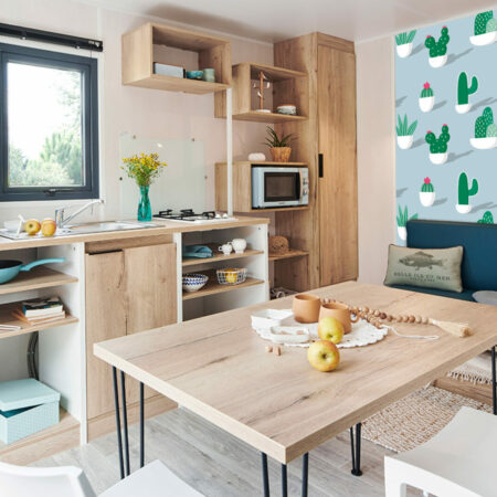 livraison gratuite fresque murale tapisserie repositionnable motif cactus et fleur Mexique sur-mesure meilleur prix mobil-home cuisine