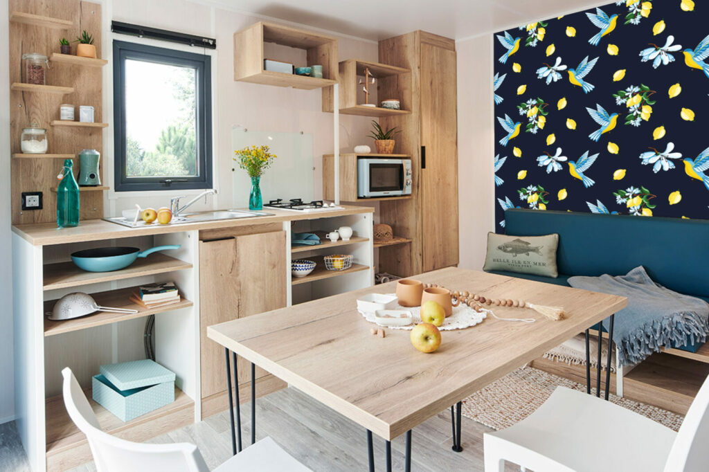 Fresque murale motif colibri vintage pas cher mobil home - bleu