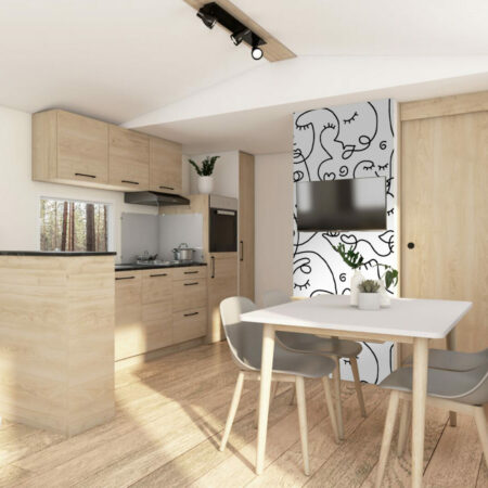 fresque murale motif portrait visage moderne abstrait mobil-home